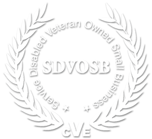 12T Group SDVOSB Certified